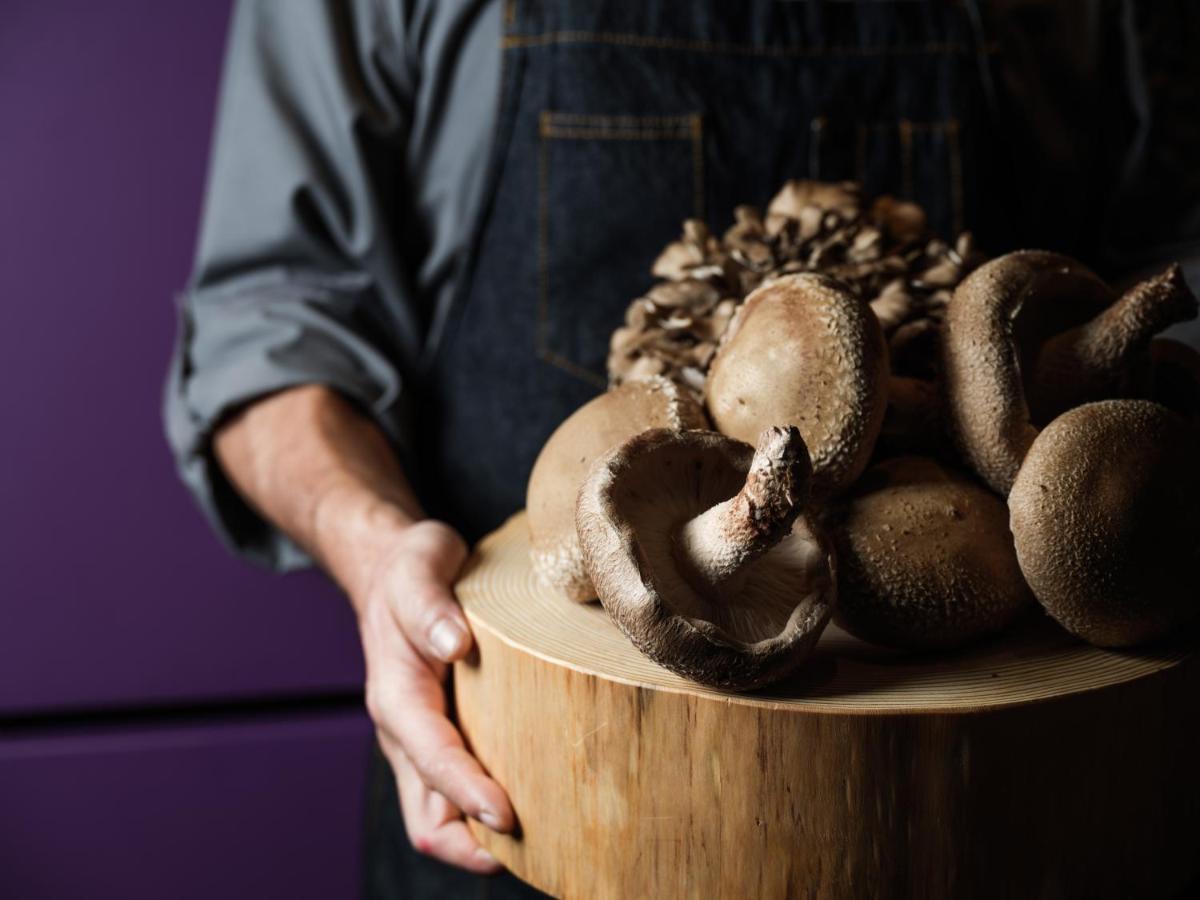 Hyatt Centric Kanazawa Buitenkant foto Shiitake mushrooms